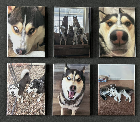 2.5"x3.5" Magnets